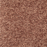 Westhill Berry Boucle Upholstered Swivel Accent Chair from Coaster - Luna Furniture