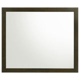 Wilkes Dark Cocoa Dresser Mirror (Mirror Only) from Coaster - Luna Furniture