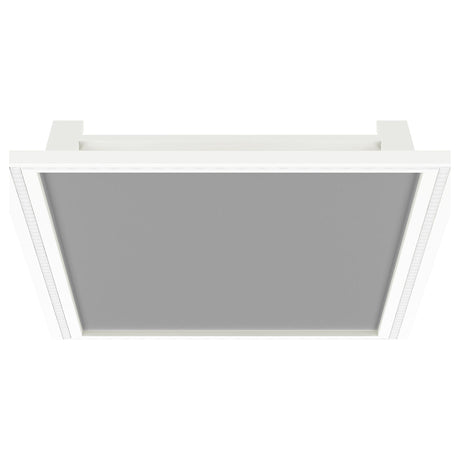 Windrose White Full Length Floor Standing Tempered Mirror with LED Lighting from Coaster - Luna Furniture