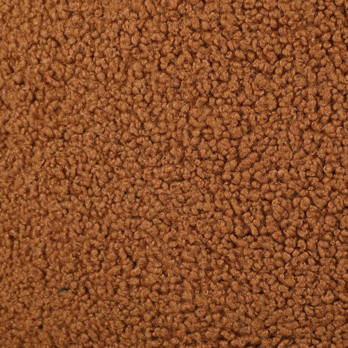 Zonie Orange Boucle Upholstered Barrel Back Accent Chair from Coaster - Luna Furniture