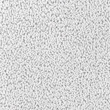 Ackland Light Gray Dining Side Chair, Set of 2 from Coaster - Luna Furniture