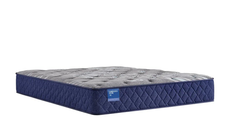 Sealy® Carrington Chase Spring Pacific Rest Innerspring Firm Tight Top Mattress, Twin Size