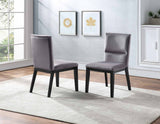 Amalie Side Chair, Grey Velvet, Set of 2 from Steve Silver - Luna Furniture