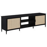 Amherst Black 2-Door Metal TV Stand Media Console from Coaster - Luna Furniture