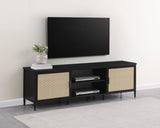 Amherst Black 2-Door Metal TV Stand Media Console from Coaster - Luna Furniture