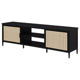 Amherst Black 2-Door Metal TV Stand Media Console from Coaster - Luna Furniture