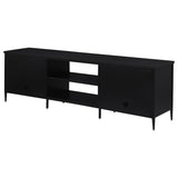 Amherst Black 2-Door Metal TV Stand Media Console from Coaster - Luna Furniture