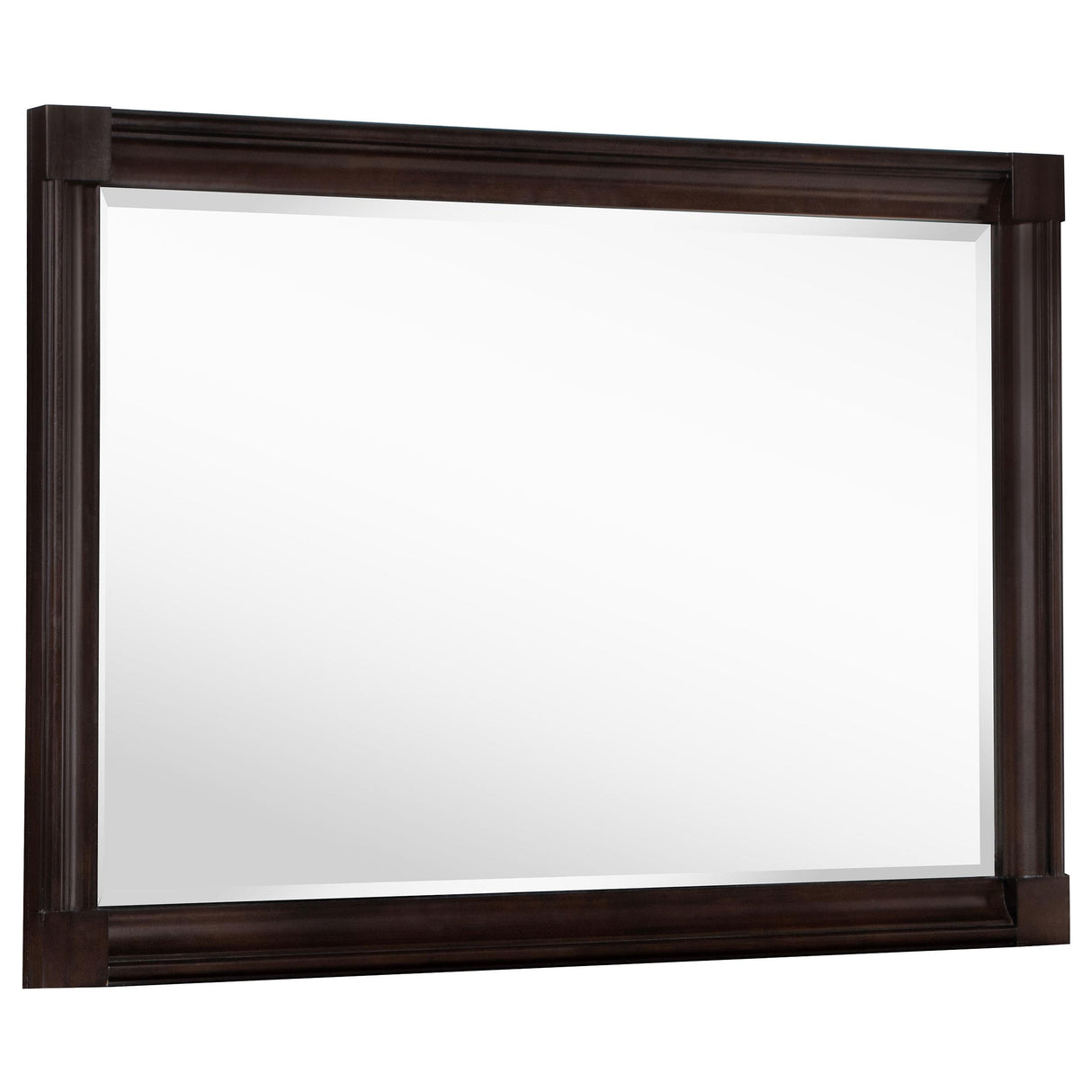 Andover Dark Oak Dresser Mirror (Mirror Only) from Coaster - Luna Furniture