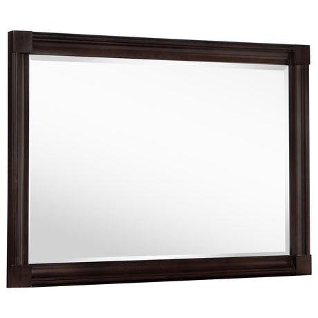 Andover Dark Oak Dresser Mirror (Mirror Only) from Coaster - Luna Furniture