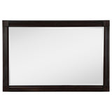 Andover Dark Oak Dresser Mirror (Mirror Only) from Coaster - Luna Furniture