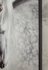 Archerwick Black/White Wall Art from Ashley - Luna Furniture