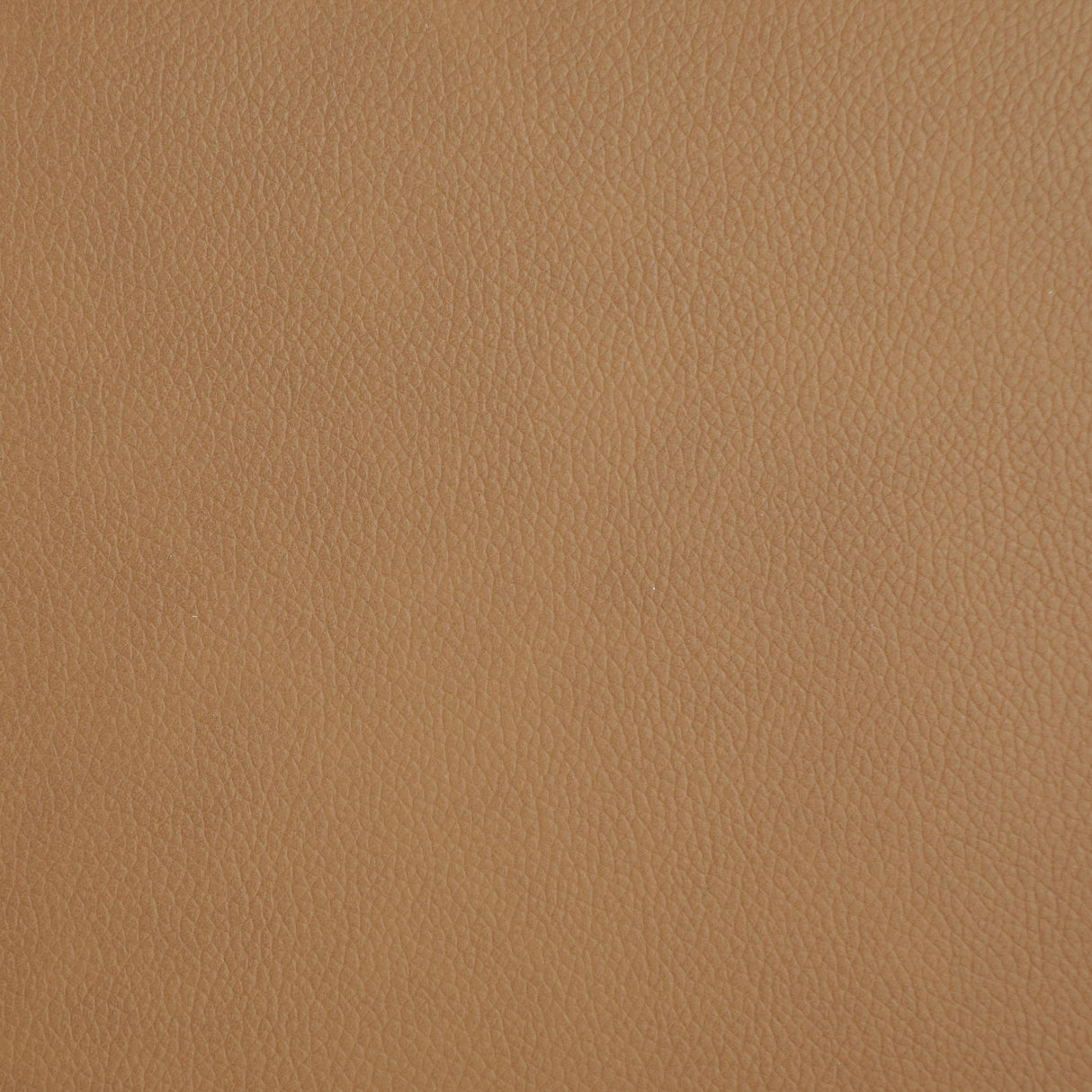 Armstrong Upholstered Power Lift Massage Recliner Camel from Coaster - Luna Furniture