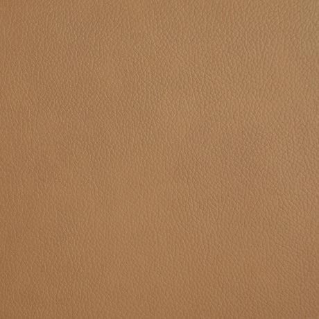 Armstrong Upholstered Power Lift Massage Recliner Camel from Coaster - Luna Furniture