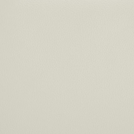 Armstrong Ivory Upholstered Power Lift Massage Recliner from Coaster - Luna Furniture