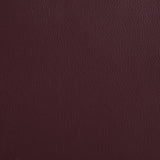 Armstrong Upholstered Power Lift Massage Recliner Wine from Coaster - Luna Furniture