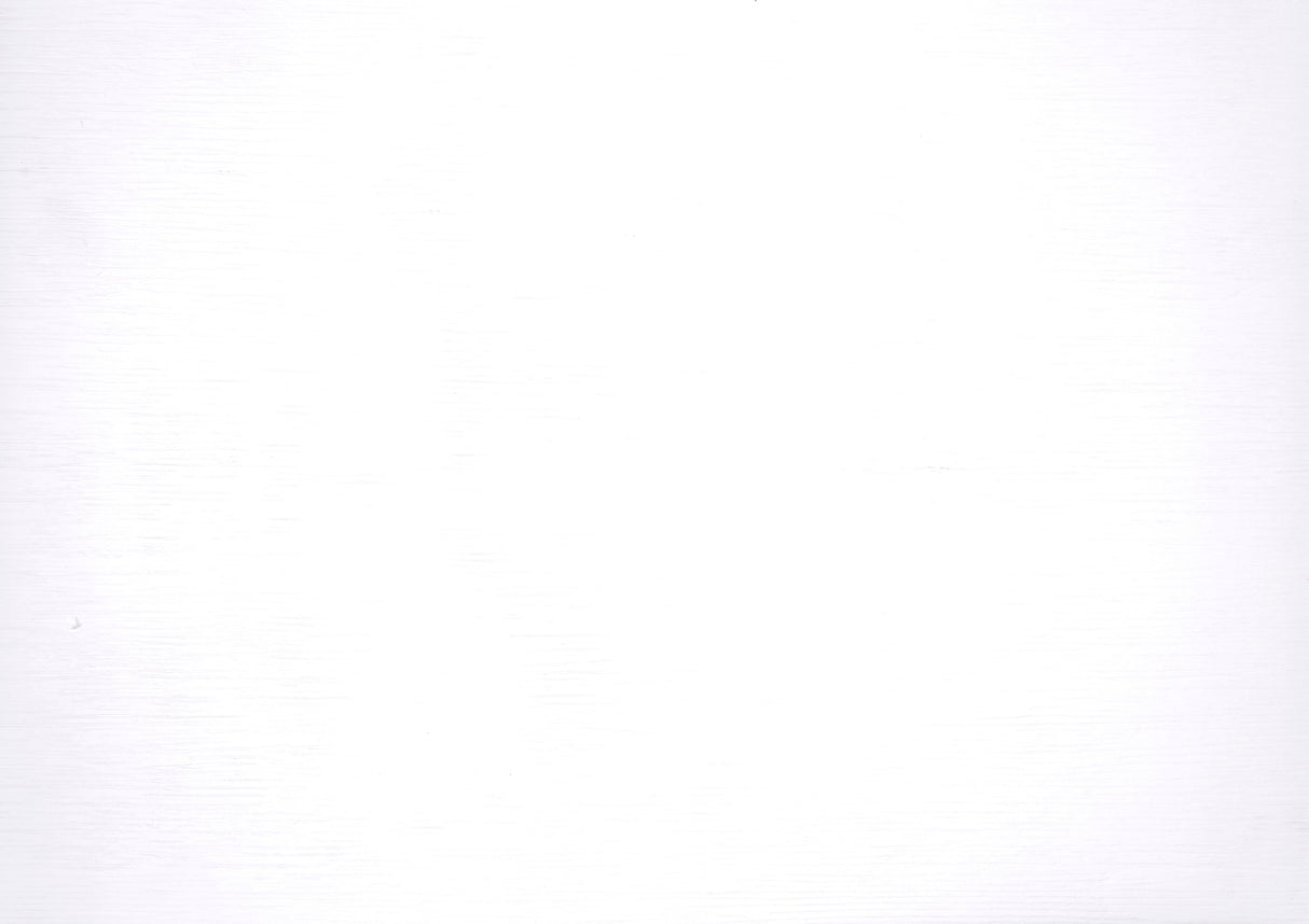 Lani White Twin/Full Bunk Bed from Homelegance - Luna Furniture