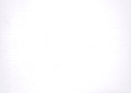 Lani White Twin/Full Bunk Bed from Homelegance - Luna Furniture