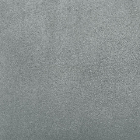 Barrand Gray Dining Side Chair, Set of 2 from Coaster - Luna Furniture