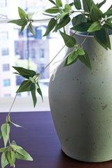 Baychester Antique Green Vase from Ashley - Luna Furniture
