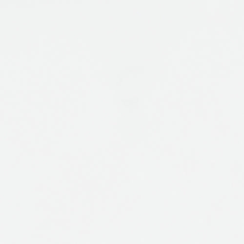 Bostwick Shoals Twin Panel Bed with Mirrored Dresser in White from Ashley - Luna Furniture