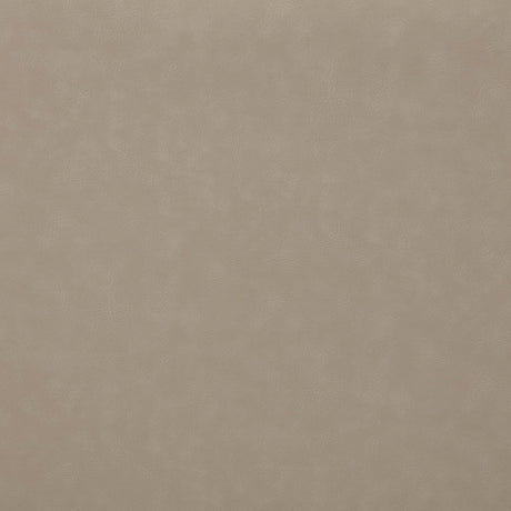 Brentwood Taupe Upholstered Motion Reclining Living Room Set from Coaster - Luna Furniture