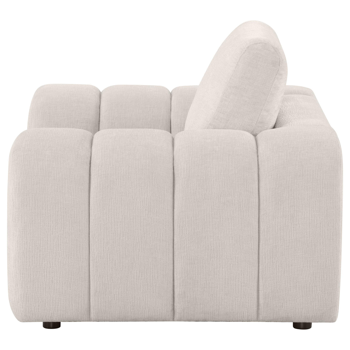 Burnett Ivory Chenille Upholstered Accent Chair from Coaster - Luna Furniture
