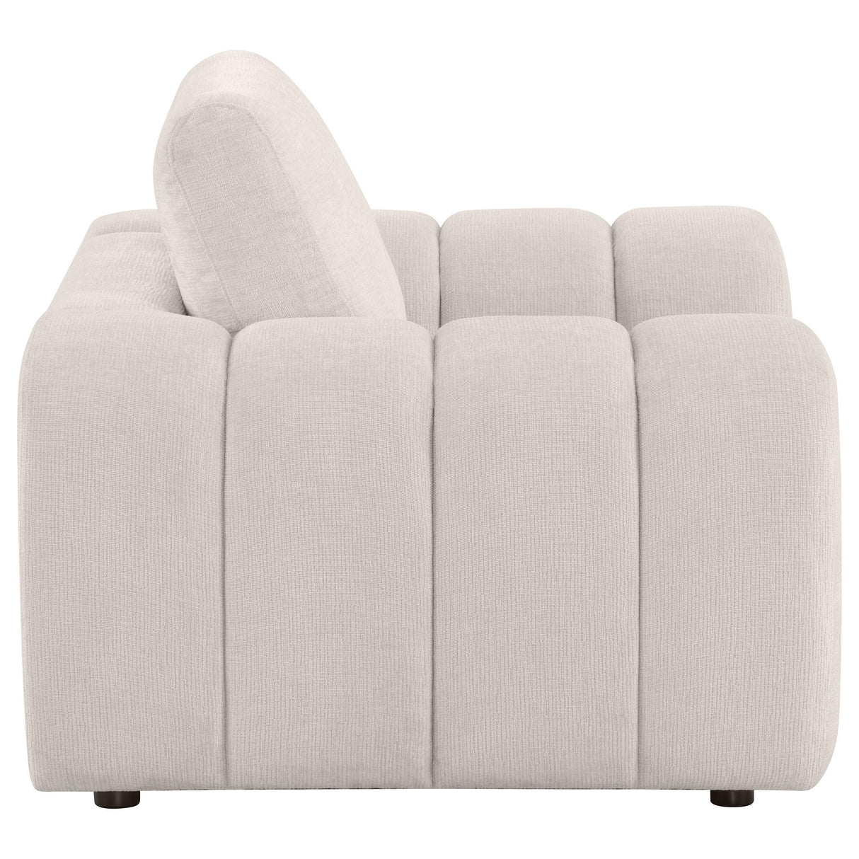 Burnett Ivory Chenille Upholstered Accent Chair from Coaster - Luna Furniture