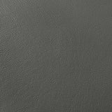 Buxton Graphite Top Grain Leather Upholstered Loveseat from Coaster - Luna Furniture