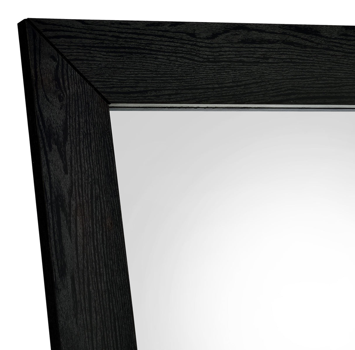 Cadence Black Oak Tempered Glass Full Length Standing Mirror from Coaster - Luna Furniture