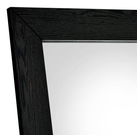 Cadence Black Oak Tempered Glass Full Length Standing Mirror from Coaster - Luna Furniture