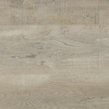 Cadence Gray Tempered Glass Washed Oak Full Length Standing Mirror from Coaster - Luna Furniture