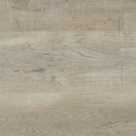 Cadence Gray Tempered Glass Washed Oak Full Length Standing Mirror from Coaster - Luna Furniture