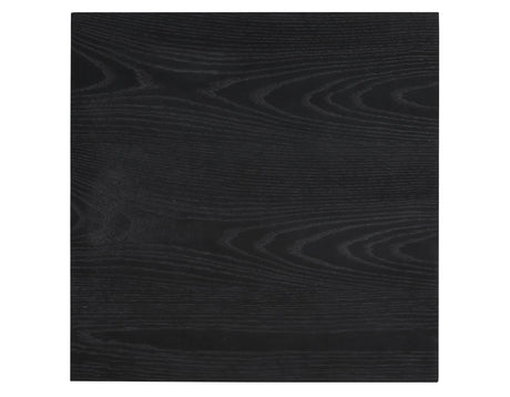 Canyon 3-Piece Table Set, Black (Cocktail Table & 2 End Tables) from Steve Silver - Luna Furniture