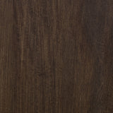 Cato Dark Brown Accent Cabinet from Ashley - Luna Furniture