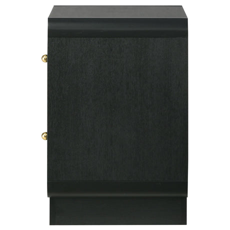 Cavelle Black 2-Drawer Nightstand from Coaster - Luna Furniture
