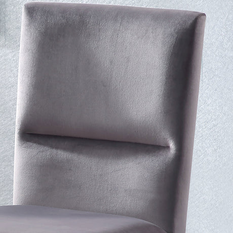 Amalie Side Chair, Grey Velvet, Set of 2 from Steve Silver - Luna Furniture