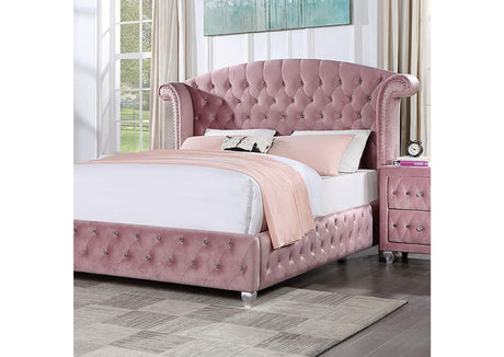 Zohar Pink Queen Bed from Furniture of America - Luna Furniture
