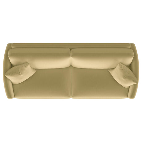 Corliss Camel Velvet Curved Track Arm Sofa from Coaster - Luna Furniture