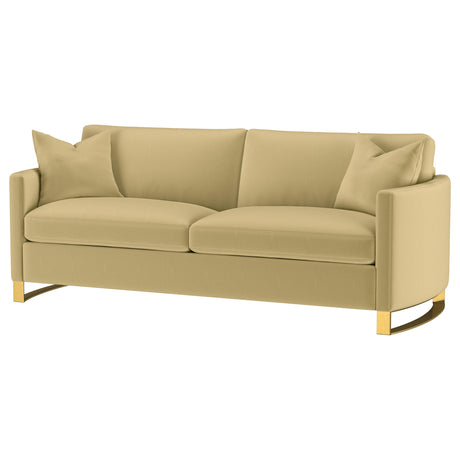 Corliss Camel Velvet Curved Track Arm Sofa from Coaster - Luna Furniture