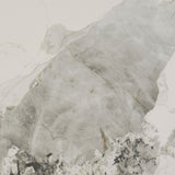 Croyden Weathered Natural 73-inch Rectangular Dining Table from Coaster - Luna Furniture