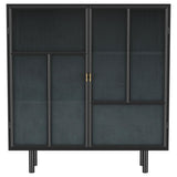 Dalia Black 2-Door Accent Storage Cabinet with Shelving from Coaster - Luna Furniture