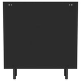 Dalia Black 2-Door Accent Storage Cabinet with Shelving from Coaster - Luna Furniture
