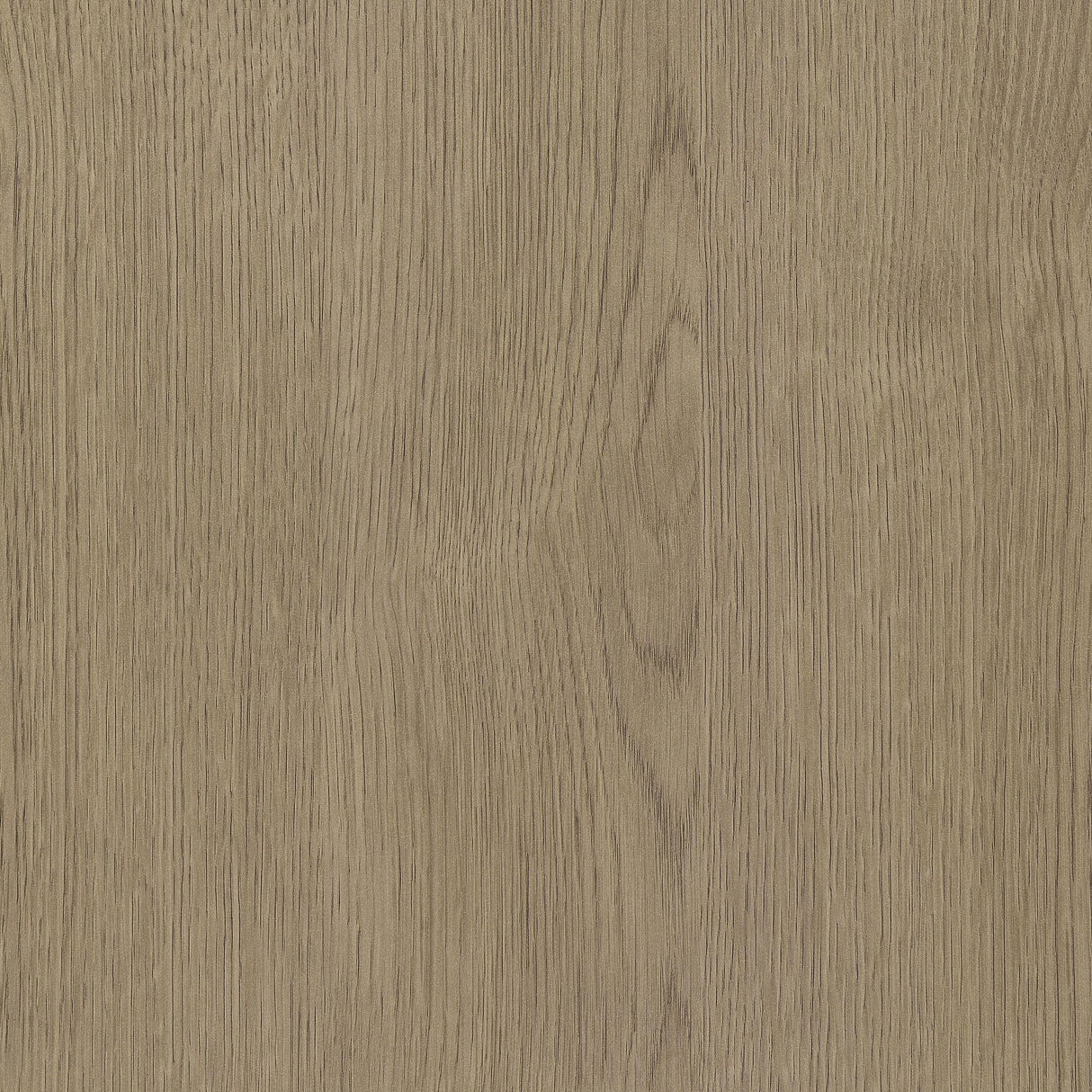 Devar Latte 2-Piece Square Cocktail Coffee End Table Set from Coaster - Luna Furniture