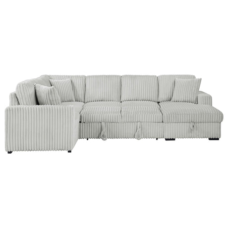 Devonshire Gray Sleeper Sectional Sofa Storage Chaise from Coaster - Luna Furniture