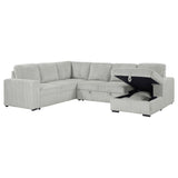 Devonshire Gray Sleeper Sectional Sofa Storage Chaise from Coaster - Luna Furniture
