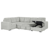 Devonshire Gray Sleeper Sectional Sofa Storage Chaise from Coaster - Luna Furniture