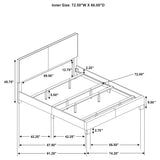 Dorian Taupe Upholstered California King Panel Bed from Coaster - Luna Furniture