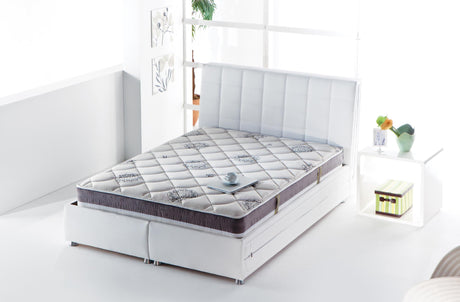 Dream Firm Queen Mattress from Bellona - Luna Furniture