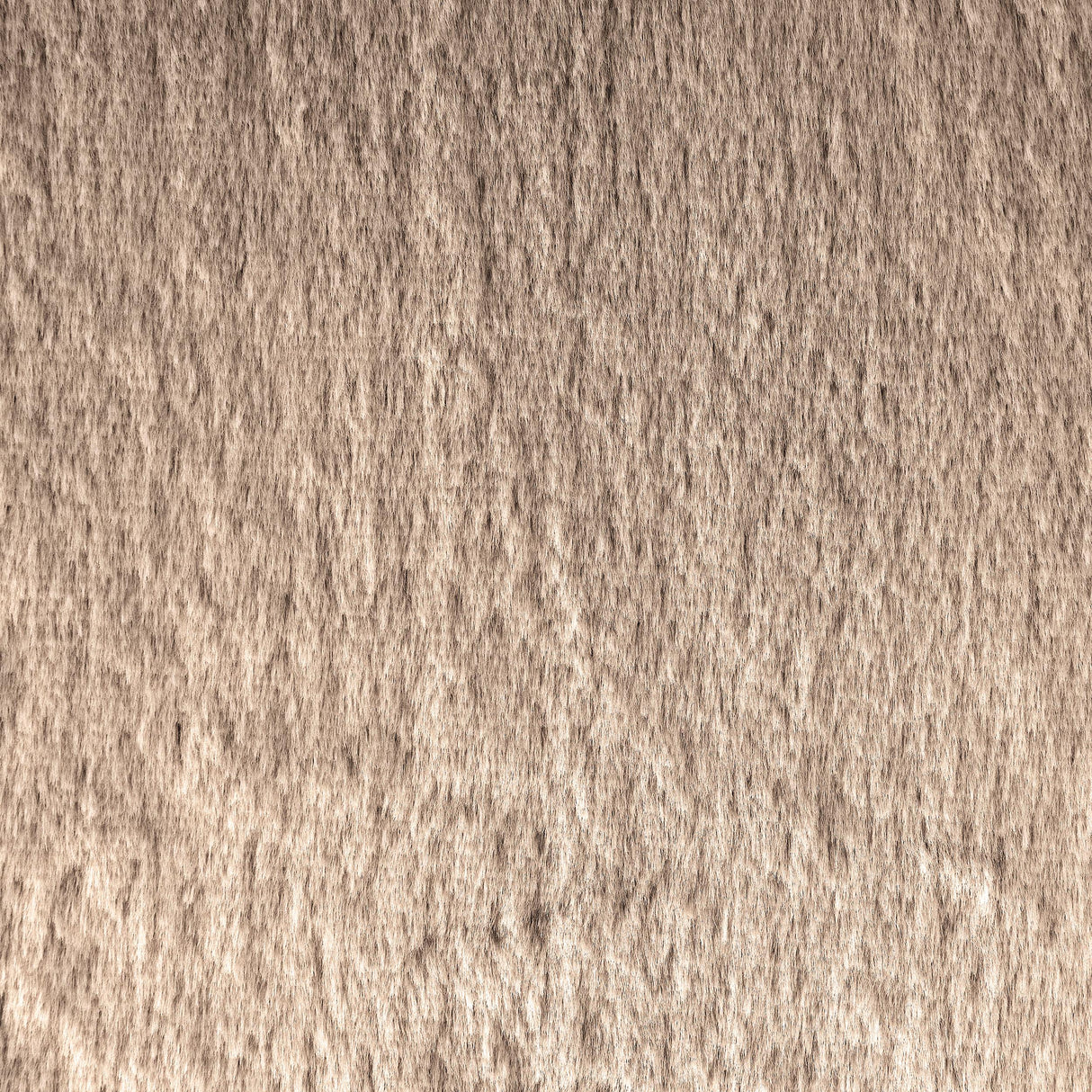 Duffie Camel Upholstered Armless Accent Chair from Coaster - Luna Furniture