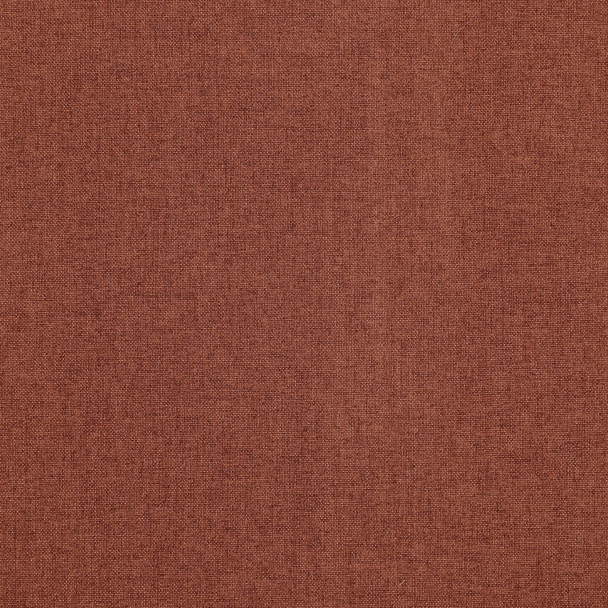 Ella Rust Upholstered Tufted Bench Stainless Steel Legs from Coaster - Luna Furniture